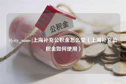 宁夏上海补充公积金怎么交（上海补充公积金如何使用）